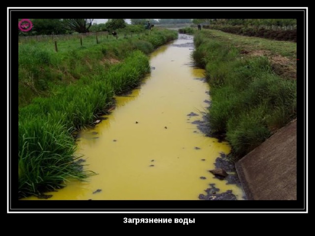 Загрязнение воды