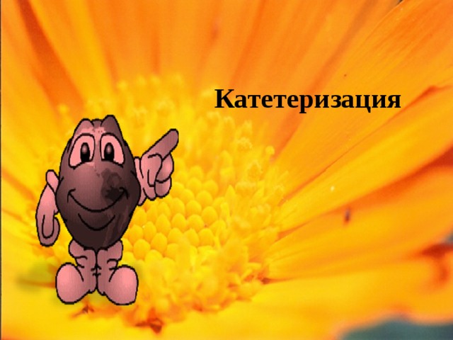 Катетеризация   