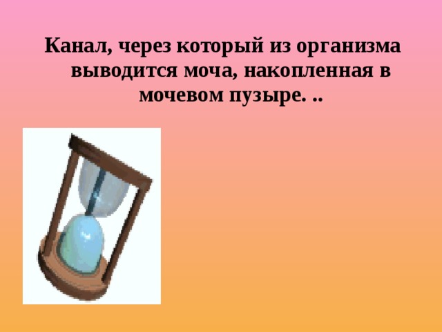 Канал, через который из организма выводится моча, накопленная в мочевом пузыре. ..   