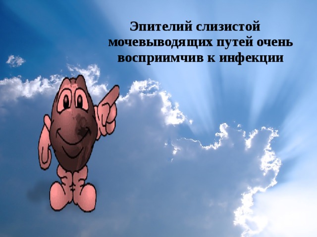 Эпителий слизистой мочевыводящих путей очень восприимчив к инфекции   