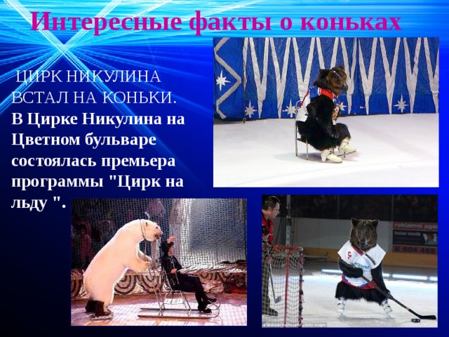  Интересные факты о коньках    ЦИРК НИКУЛИНА ВСТАЛ НА КОНЬКИ. В Цирке Никулина на Цветном бульваре состоялась премьера программы 