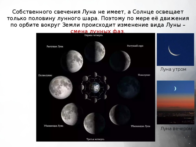 Собственного свечения Луна не имеет, а Солнце освещает только половину лунного шара. Поэтому по мере её движения по орбите вокруг Земли происходит изменение вида Луны – смена лунных фаз. Луна утром Луна вечером 