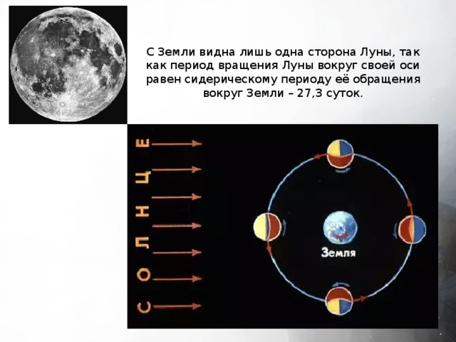 С Земли видна лишь одна сторона Луны, так как период вращения Луны вокруг своей оси равен сидерическому периоду её обращения вокруг Земли – 27,3 суток. 