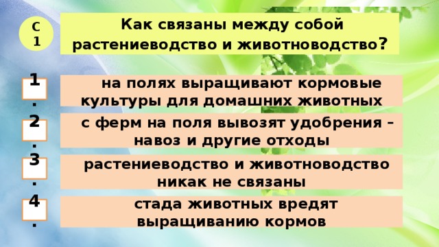  Как связаны между собой растениеводство и животноводство ? С1  на полях выращивают кормовые культуры для домашних животных 1.  с ферм на поля вывозят удобрения – навоз и другие отходы 2.  растениеводство и животноводство никак не связаны 3.  стада животных вредят выращиванию кормов 4. 