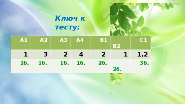 Ключ к тесту:  А1  А2  1  А3  3  1б.  1б.  А4  2  В1  4  1б.  В2  1б.  2  С1  2б.  1  2б.  1,2  3б. 