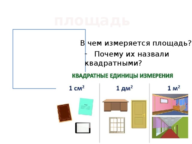 площадь В чем измеряется площадь? Почему их назвали квадратными? 
