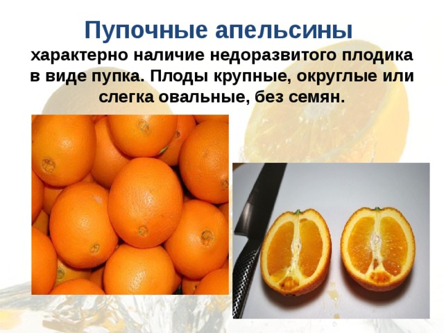  Пупочные апельсины  характерно наличие недоразвитого плодика в виде пупка. Плоды крупные, округлые или слегка овальные, без семян.   