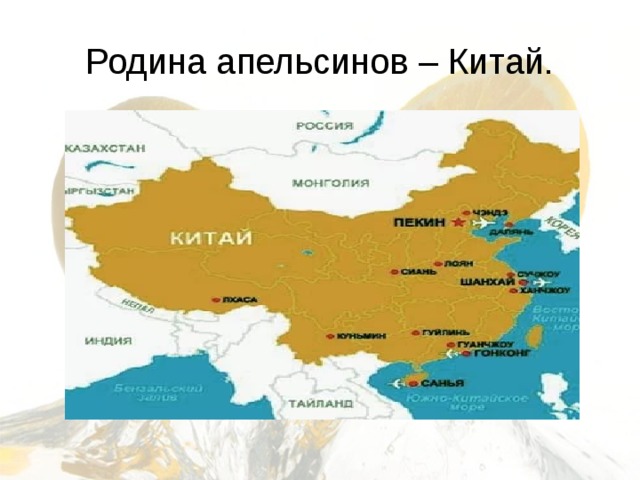 Родина апельсинов – Китай. 