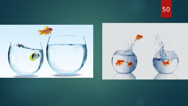 50 