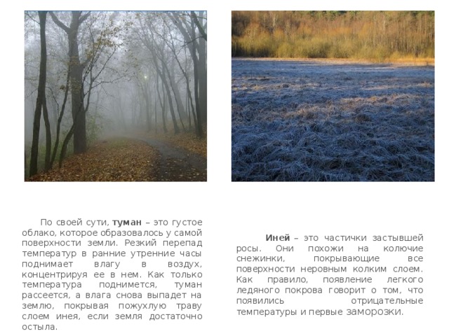  По своей сути,   туман  – это густое облако, которое образовалось у самой поверхности земли. Резкий перепад температур в ранние утренние часы поднимает влагу в воздух, концентрируя ее в нем. Как только температура поднимется, туман рассеется, а влага снова выпадет на землю, покрывая пожухлую траву слоем инея, если земля достаточно остыла.  Иней  – это частички застывшей росы. Они похожи на колючие снежинки, покрывающие все поверхности неровным колким слоем. Как правило, появление легкого ледяного покрова говорит о том, что появились отрицательные температуры и первые заморозки. 