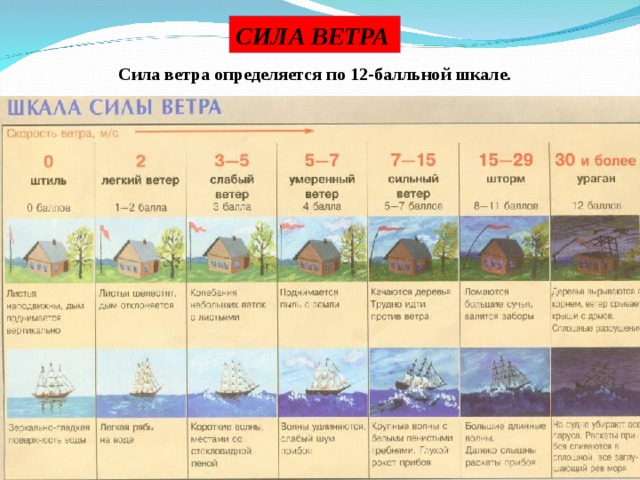 СИЛА ВЕТРА Сила ветра определяется по 12-балльной шкале. 