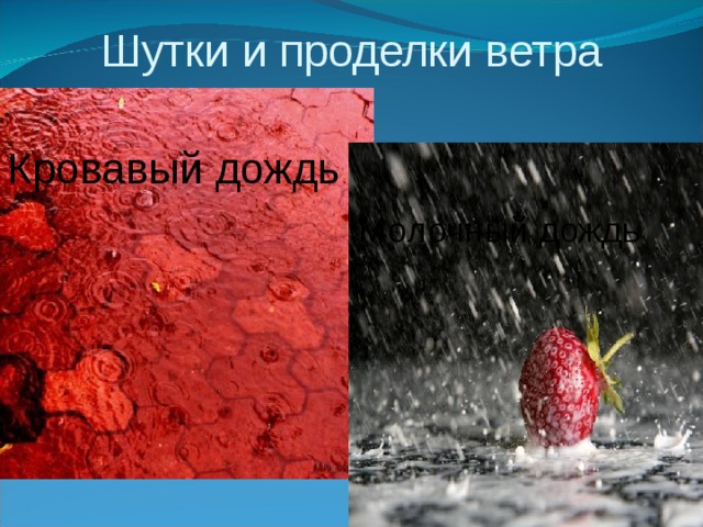Шутки и проделки ветра Кровавый дождь Молочный дождь 