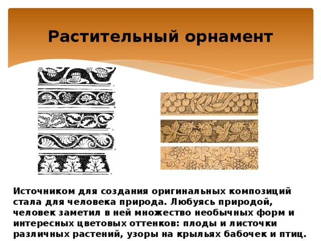 Растительный орнамент Источником для создания оригинальных композиций стала для человека природа. Любуясь природой, человек заметил в ней множество необычных форм и интересных цветовых оттенков: плоды и листочки различных растений, узоры на крыльях бабочек и птиц. 