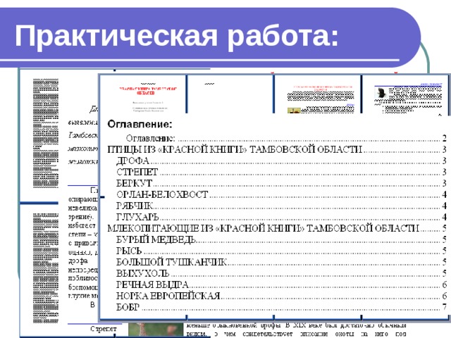 Практическая работа: 