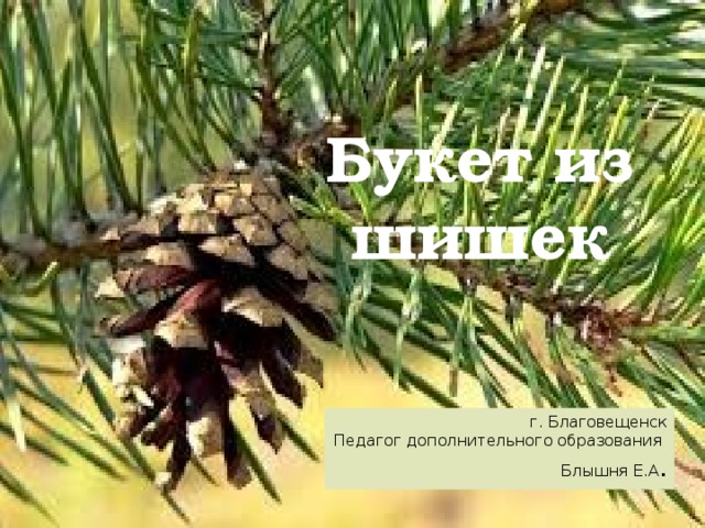 Букет из шишек г. Благовещенск Педагог дополнительного образования Блышня Е.А . 