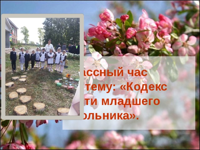 Классный час  на тему: «Кодекс чести младшего школьника». 