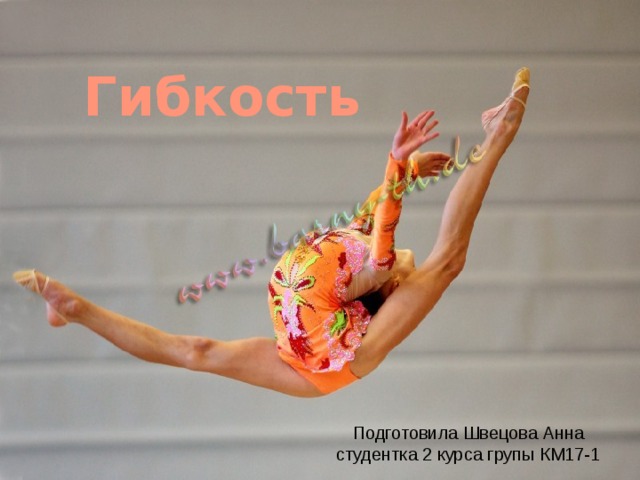 Гибкость Подготовила Швецова Анна  студентка 2 курса групы КМ17-1 