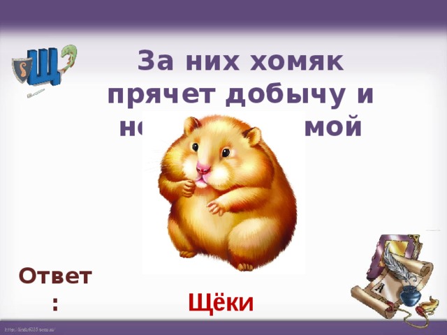 За них хомяк прячет добычу и несет ее домой   Ответ: Щёки