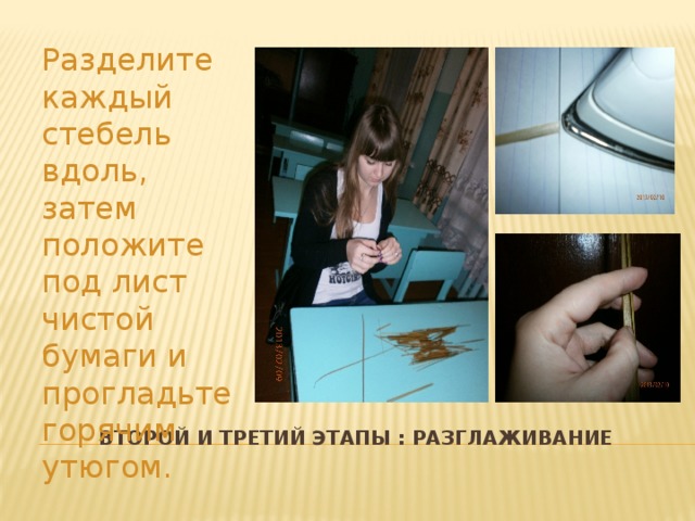 Разделите каждый стебель вдоль, затем положите под лист чистой бумаги и прогладьте горячим утюгом. Второй и третий этапы : разглаживание 