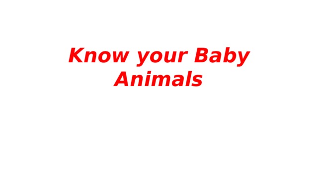 Know your Baby Animals 