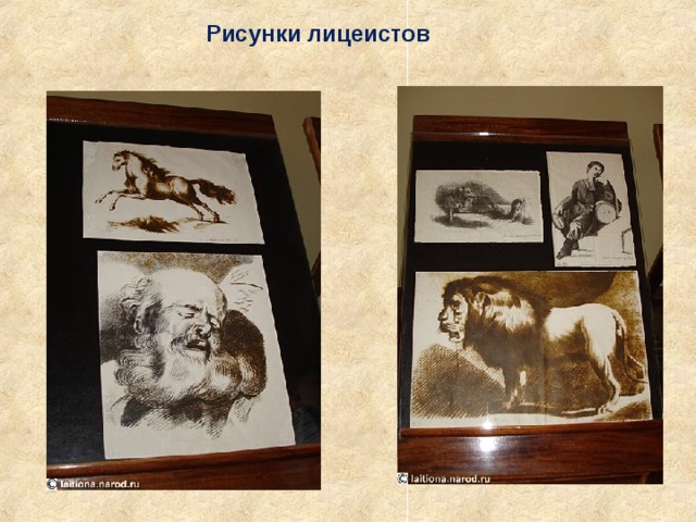 Рисунки лицеистов 