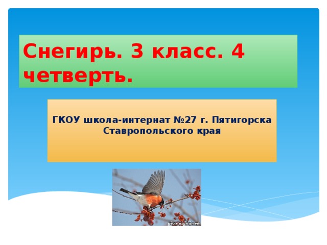 Снегирь. 3 класс. 4 четверть.  ГКОУ школа-интернат №27 г. Пятигорска Ставропольского края 