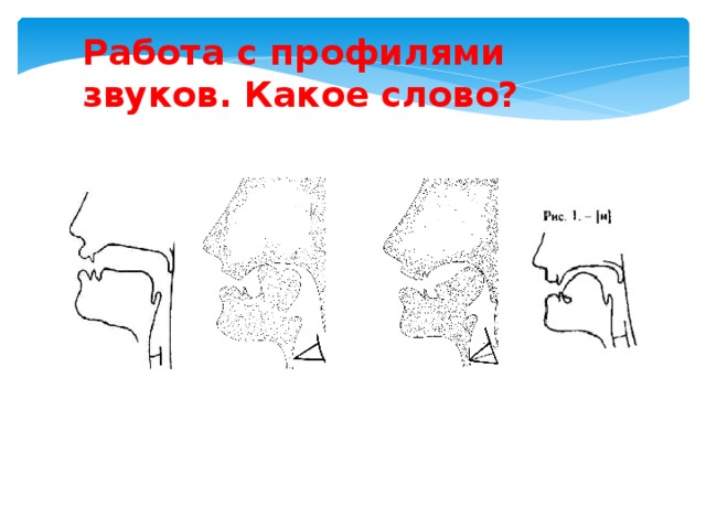 Работа с профилями звуков. Какое слово? 