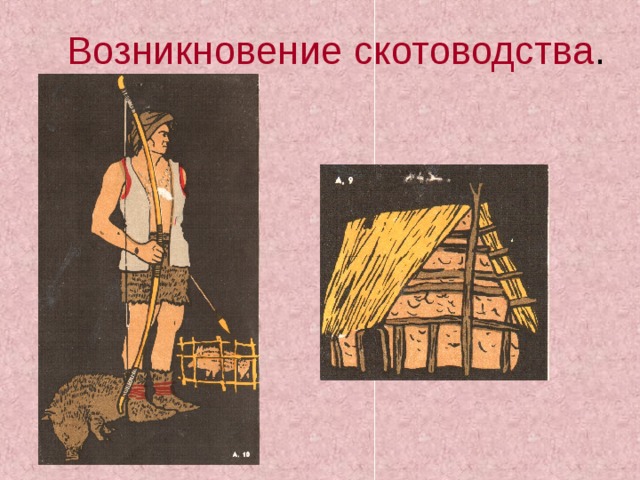 Возникновение скотоводства . 