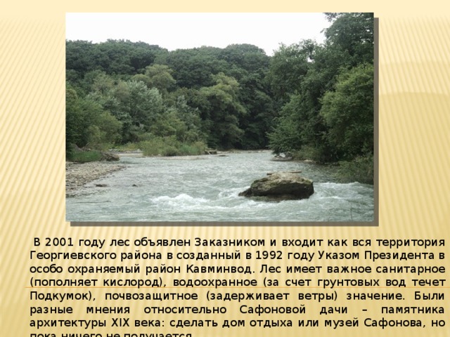  В 2001 году лес объявлен Заказником и входит как вся территория Георгиевского района в созданный в 1992 году Указом Президента в особо охраняемый район Кавминвод. Лес имеет важное санитарное (пополняет кислород), водоохранное (за счет грунтовых вод течет Подкумок), почвозащитное (задерживает ветры) значение. Были разные мнения относительно Сафоновой дачи – памятника архитектуры XIX века: сделать дом отдыха или музей Сафонова, но пока ничего не получается. 