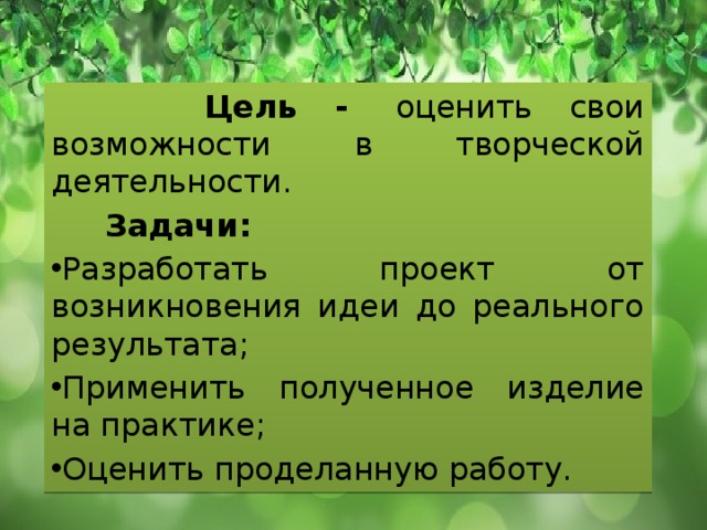  Цель -  оценить свои возможности в творческой деятельности.  Задачи: Разработать проект от возникновения идеи до реального результата; Применить полученное изделие на практике; Оценить проделанную работу. 