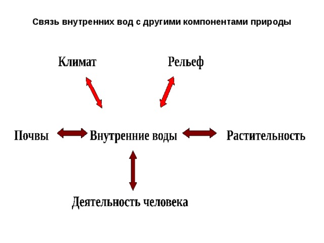 Связь внутренних вод с другими компонентами природы Климат Рельеф Почвы Внутренние воды Растительность Деятельность человека 