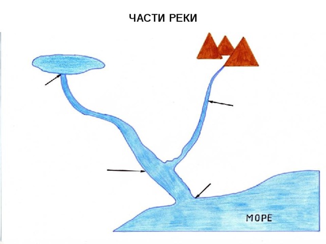 ЧАСТИ РЕКИ ОЗЕРО ГОРЫ ИСТОК ПРИТОК ГЛАВНОЕ РУСЛО УСТЬЕ 