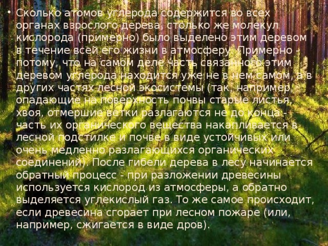 Сколько атомов углерода содержится во всех органах взрослого дерева, столько же молекул кислорода (примерно) было выделено этим деревом в течение всей его жизни в атмосферу. Примерно - потому, что на самом деле часть связанного этим деревом углерода находится уже не в нем самом, а в других частях лесной экосистемы (так, например, опадающие на поверхность почвы старые листья, хвоя, отмершие ветки разлагаются не до конца - часть их органического вещества накапливается в лесной подстилке и почве в виде устойчивых или очень медленно разлагающихся органических соединений). После гибели дерева в лесу начинается обратный процесс - при разложении древесины используется кислород из атмосферы, а обратно выделяется углекислый газ. То же самое происходит, если древесина сгорает при лесном пожаре (или, например, сжигается в виде дров). 