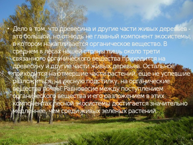 Дело в том, что древесина и другие части живых деревьев - это большой, но отнюдь не главный компонент экосистемы, в котором накапливается органическое вещество. В среднем в лесах нашей страны лишь около трети связанного органического вещества приходится на древесину и другие части живых деревьев. Остальное приходится на отмершие части растений, еще не успевшие разложиться, на лесную подстилку, на органические вещества почвы. Равновесие между поступлением органического вещества и его разложением в этих компонентах лесной экосистемы достигается значительно медленнее, чем среди живых зеленых растений. 
