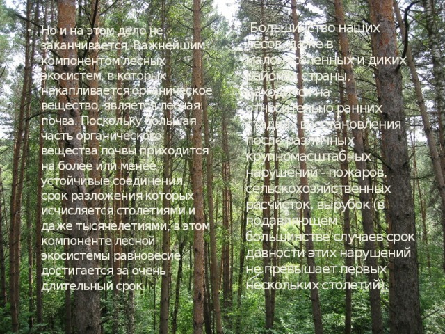 Но и на этом дело не заканчивается. Важнейшим компонентом лесных экосистем, в которых накапливается органическое вещество, является лесная почва. Поскольку большая часть органического вещества почвы приходится на более или менее устойчивые соединения, срок разложения которых исчисляется столетиями и даже тысячелетиями, в этом компоненте лесной экосистемы равновесие достигается за очень длительный срок.  Большинство наших лесов, даже в малонаселенных и диких районах страны, находится на относительно ранних стадиях восстановления после различных крупномасштабных нарушений - пожаров, сельскохозяйственных расчисток, вырубок (в подавляющем большинстве случаев срок давности этих нарушений не превышает первых нескольких столетий). 