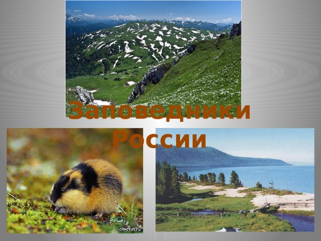 Заповедники России 