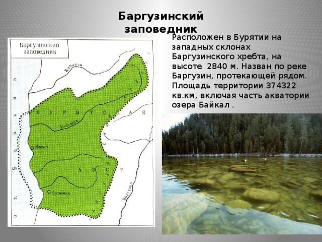 Баргузинский  заповедник Расположен в Бурятии на западных склонах Баргузинского хребта, на высоте 2840 м. Назван по реке Баргузин, протекающей рядом. Площадь территории 374322 кв.км, включая часть акватории озера Байкал . 