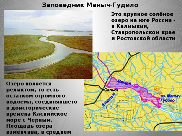 Заповедник Маныч-Гудило Это крупное солёное озеро на юге России - в Калмыкии, Ставропольском крае и Ростовской области Озеро является реликтом, то есть остатком огромного водоёма, соединявшего в доисторические времена Каспийское море с Черным. Площадь озера изменчива, в среднем составляя 344 км², средняя глубина 0,6 м.   