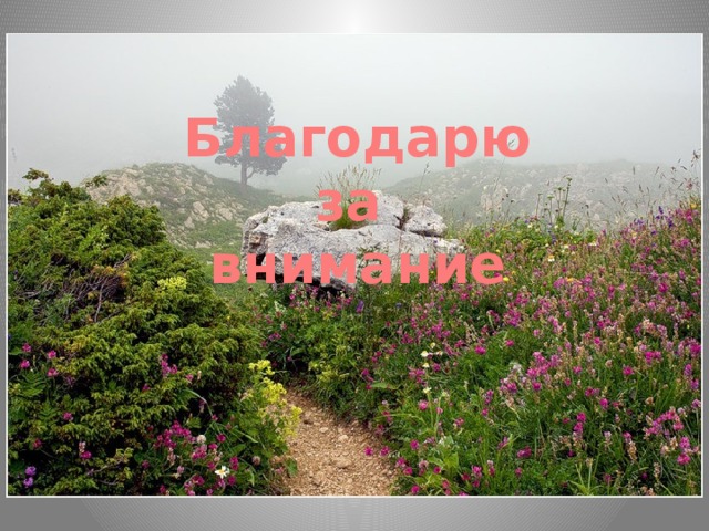 Благодарю за внимание 