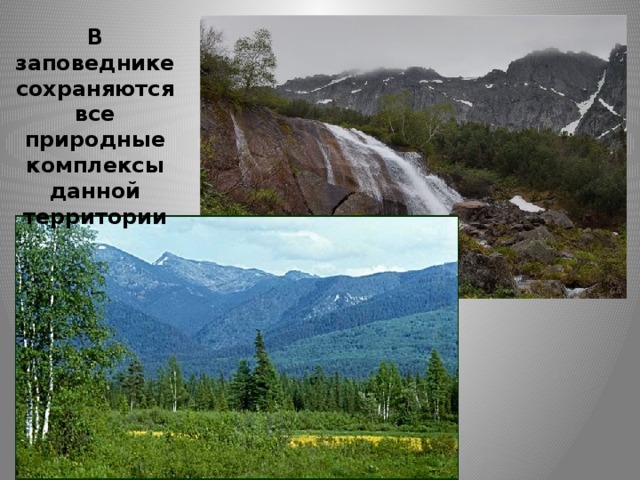 В заповеднике сохраняются все природные комплексы данной территории 