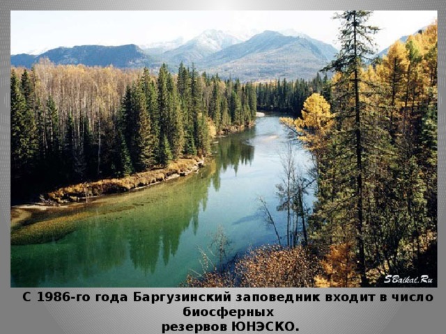 C 1986-го года Баргузинский заповедник входит в число биосферных  резервов ЮНЭСКО.  
