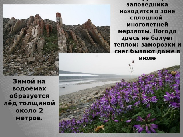 Вся территория заповедника находится в зоне сплошной многолетней мерзлоты . Погода здесь не балует теплом: заморозки и снег бывают даже в июле Зимой на водоёмах образуется лёд толщиной около 2 метров. 