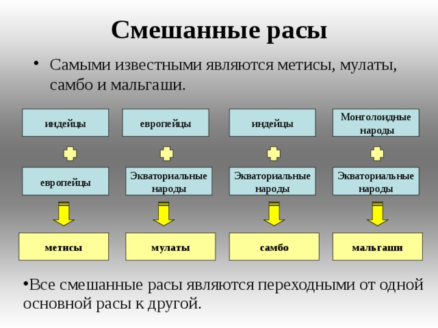 Смешанные расы Самыми известными являются метисы, мулаты, самбо и мальгаши. индейцы европейцы Монголоидные  народы индейцы Экваториальные народы Экваториальные народы Экваториальные народы европейцы мальгаши мулаты метисы самбо Все смешанные расы являются переходными от одной основной расы к другой.  