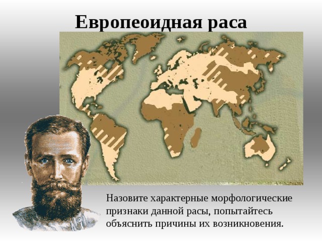 Европеоидная раса Назовите характерные морфологические признаки данной расы, попытайтесь объяснить причины их возникновения.  