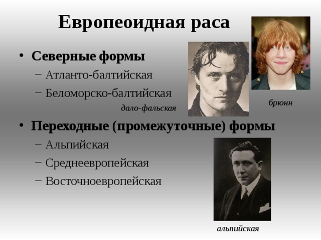 Европеоидная раса Северные формы Атланто-балтийская Беломорско-балтийская Атланто-балтийская Беломорско-балтийская   дало-фальская    дало-фальская  Переходные (промежуточные) формы  Альпийская Среднеевропейская Восточноевропейская Альпийская Среднеевропейская Восточноевропейская брюнн альпийская  