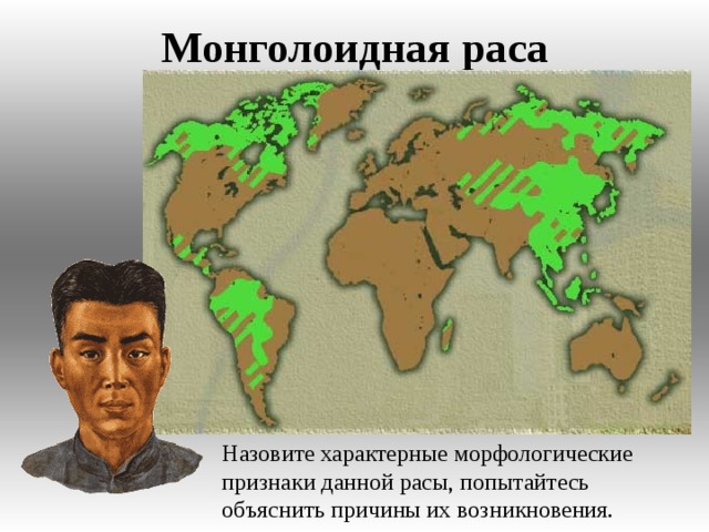 Монголоидная раса Назовите характерные морфологические признаки данной расы, попытайтесь объяснить причины их возникновения.  