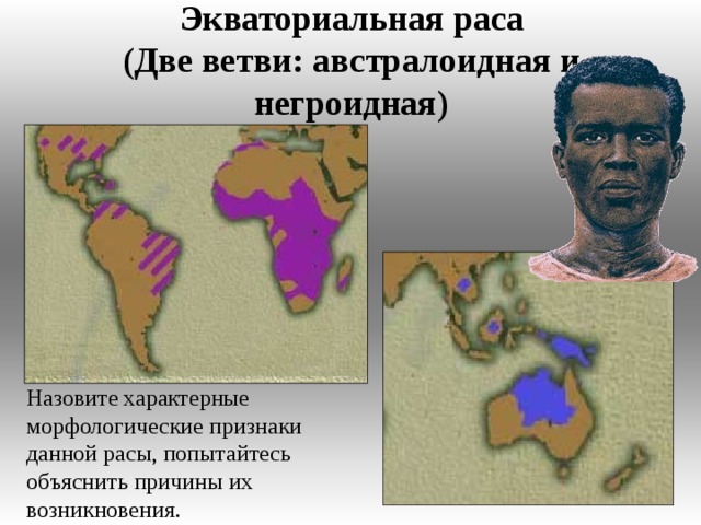 Экваториальная раса  (Две ветви: австралоидная и негроидная) Назовите характерные морфологические признаки данной расы, попытайтесь объяснить причины их возникновения.  