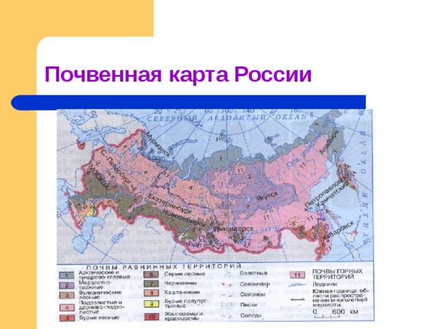 Почвенная карта России 
