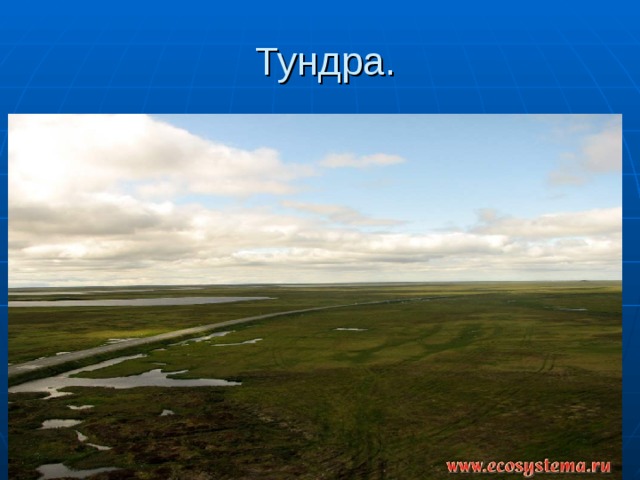  Тундра. 