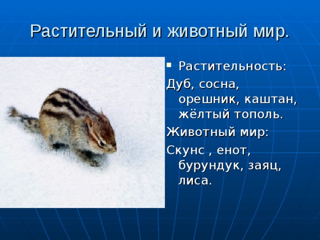 Растительный и животный мир. Растительность: Дуб, сосна, орешник, каштан, жёлтый тополь. Животный мир: Скунс , енот, бурундук, заяц, лиса. 